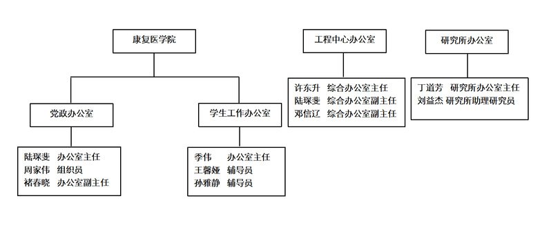 陆琛斐 办公室主任