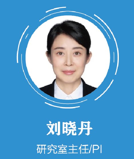 星空官方版网站登录入口